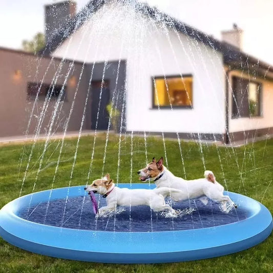 alfombra rociador. piscina para mascotas